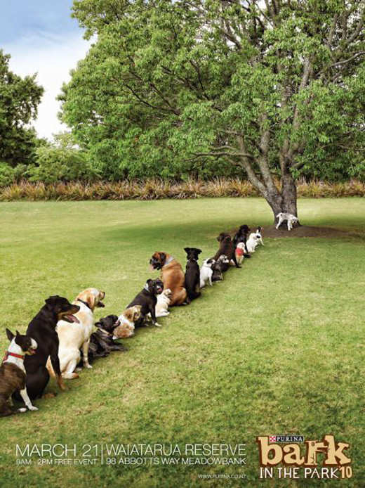 Publicidad Creativa: Purina Bark in the Park: Tree