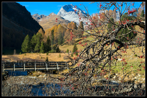 Lac de Palpuogna