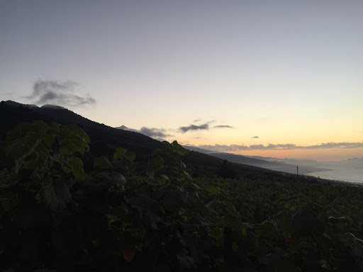 Guachinche La Finca