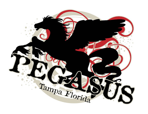 Bar «Pegasus Lounge», reviews and photos, 10008 N 30th St, Tampa, FL 33612, USA