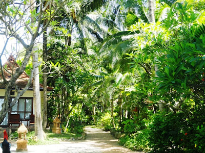 Майский Тай (Бангкок-Самуи-Тао)