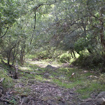 The dry river bed of the Jenolan River (8780)