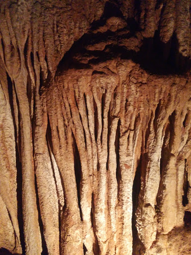 Tourist Attraction «Bristol Caverns», reviews and photos, 1157 Bristol Caverns Hwy, Bristol, TN 37620, USA