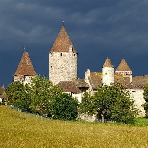 Château de Chenaux logo