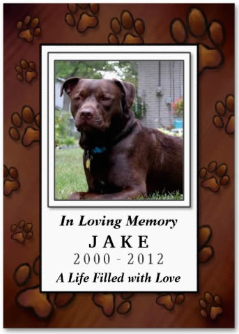 Chocolate Brown Paw Prints Photo Pet Remembrance Card with Prayer for Pets