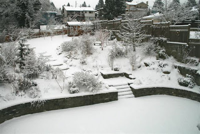 Winter snow scene
