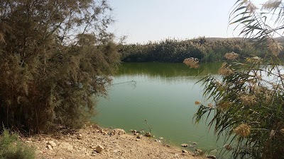 Photos of אגם ירוחם
