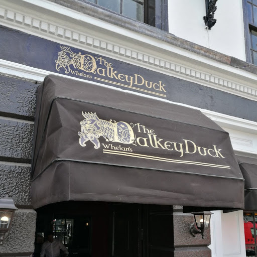 The Dalkey Duck logo
