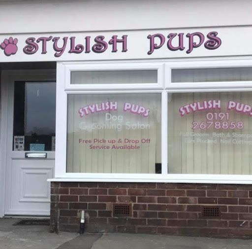 Stylish Pups Grooming Salon logo