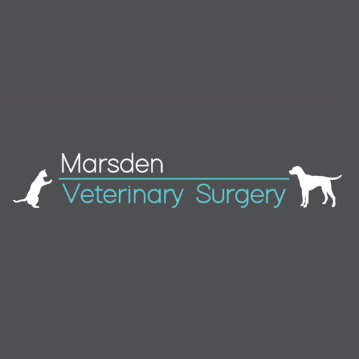 Marsden Veterinary Surgery