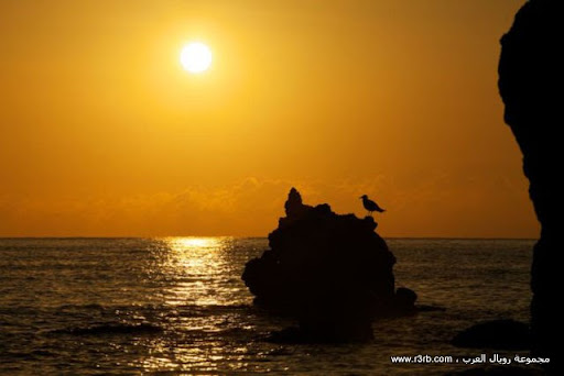 من أجمل الصور الملتقطه لغروب الشمس
 - Ƹ̴Ӂ̴Ʒ مجموعة رويال العرب Ƹ̴Ӂ̴Ʒ