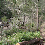 Track along the Grose River (52355)