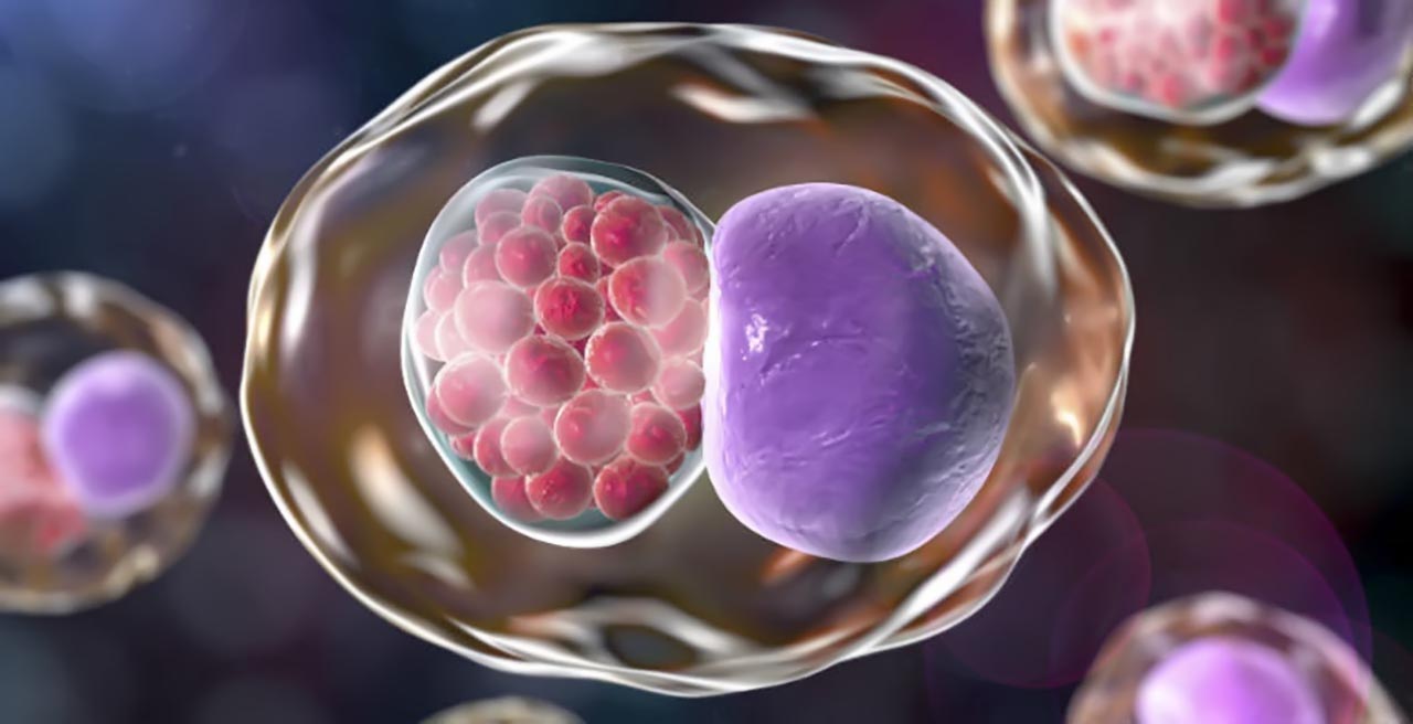 Hình ảnh minh họa Chlamydia trachomatis