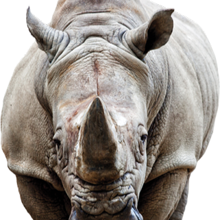 Rhino Rubber, LLC logo