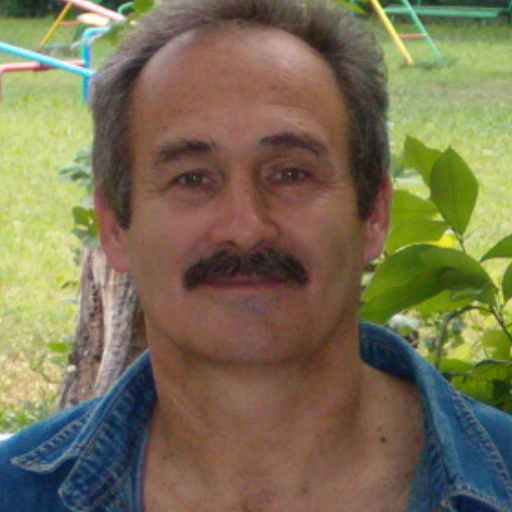 radomir cvetkovic