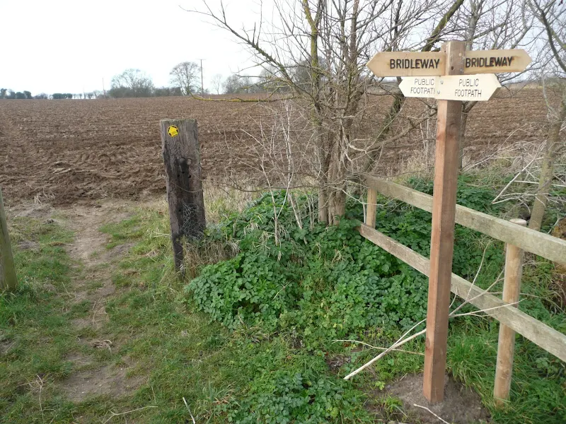 Footpath to Friston