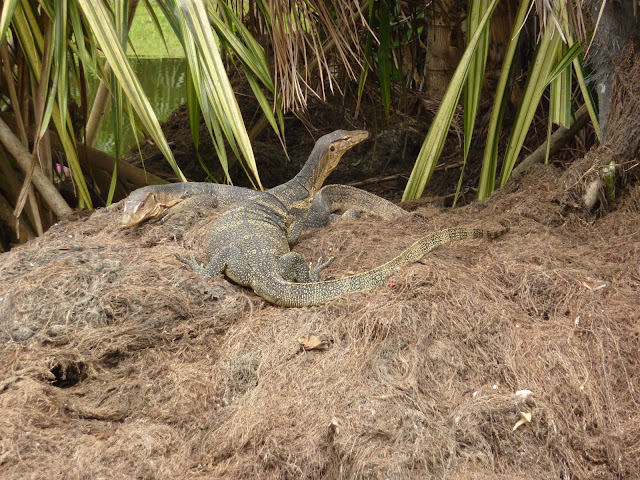 Blog de voyage-en-famille : Voyages en famille, Cherating, plage ou plage