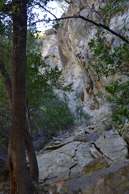 yellow cliffs with lime seeps