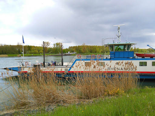 Bac de Rhinau-Kappel