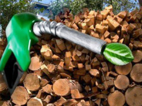 What Is The Biofuel Small Introduction