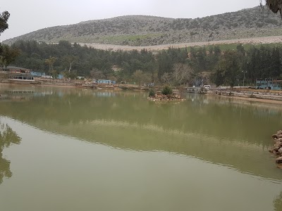 Photos of Yenişehir G&ouml;l&uuml;