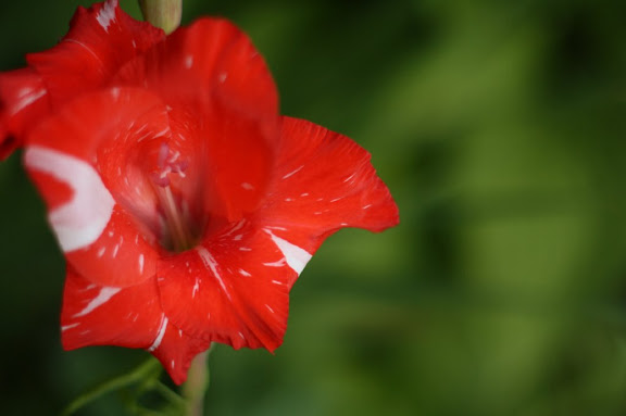 Скоро осень 