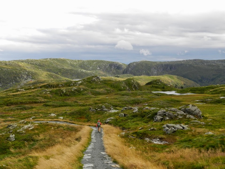 Dia 8. Bergen Floyen - Dinamarca, Suecia, Noruega (8)