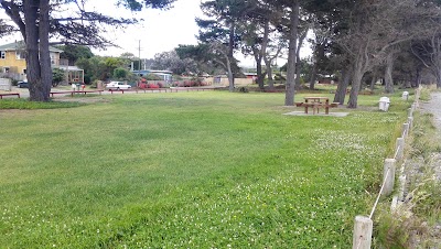 Photos of Amberley Beach Camping Ground
