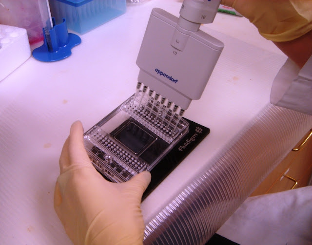 Урологи. Мыши. Девушка. 