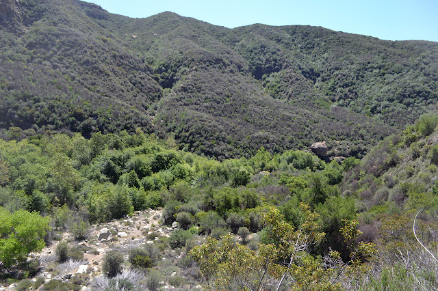 a grand overview of the canyon