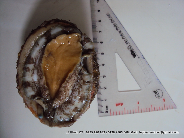 Về MIỀN TÂY ăn cá LINH nhé Ae ... Mời Ae thưởng thức ... ! - 8