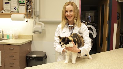 Photos of Best Friends Animal Hospital