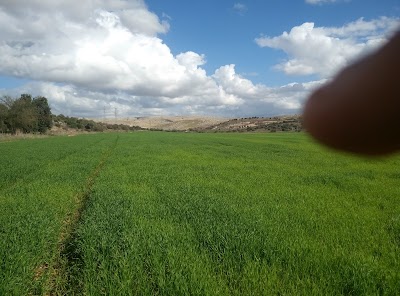 Photos of Ya'ar Shoham Park