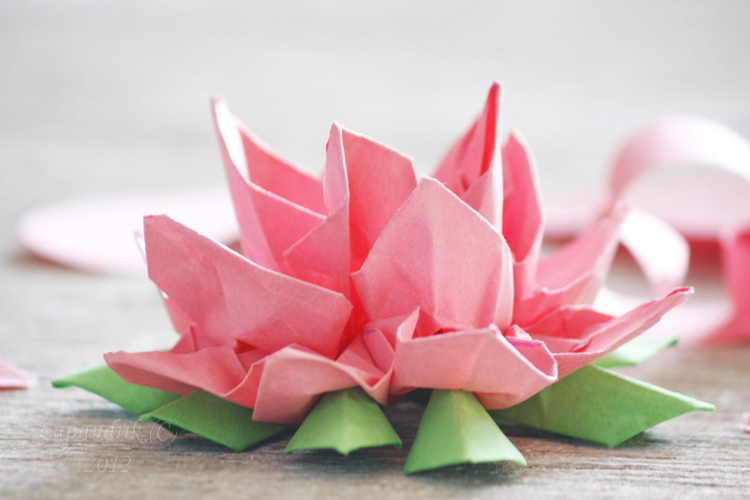 Хвастаюсь. :) 