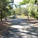 The end of Lookout Road in the Blackbutt Reserve (399883)