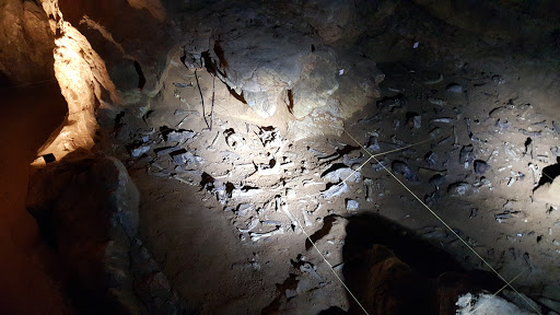Les Grottes d'Azé