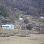 The Depression Houses (31483)