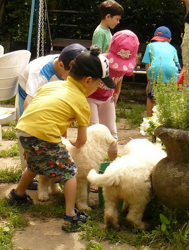 2011.06.17-19.ballag%2525C3%2525A1s%252520Peszi%252520049.jpg