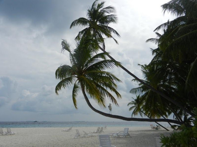 Ланка +Мальдивы по-нашему Ланка +Мальдивы по-нашему