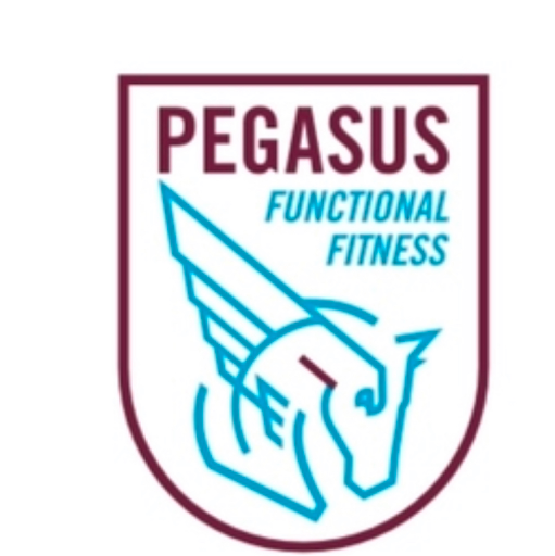 Pegasus Functional Fitness/ LOT logo