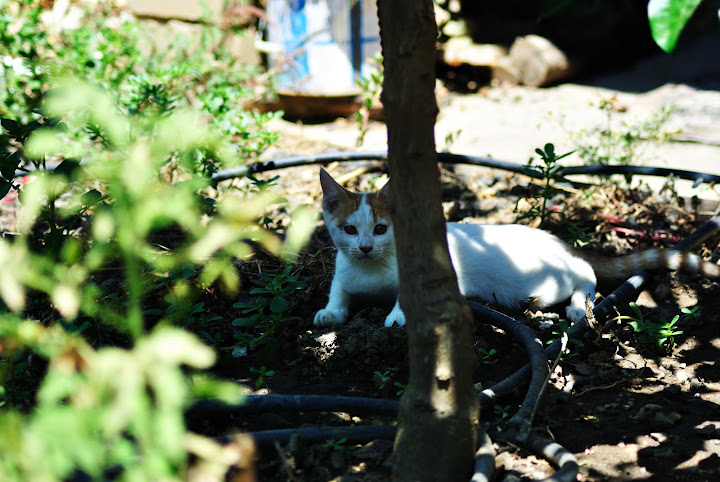 DSC_0088.JPG?gl=ES