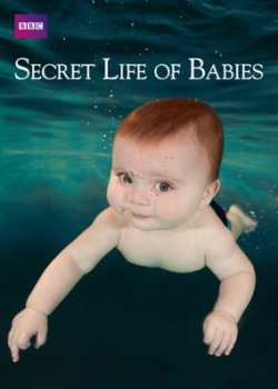 Secret life of babies en Netflix en Soy Mamá Blog