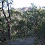 Track up from Glenbrook Creek to Martin's Lookout (74385)