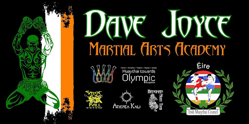 Dave Joyce Martial Arts Academy logo