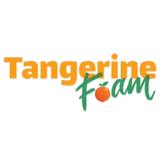 Tangerine Foam - make my foam logo