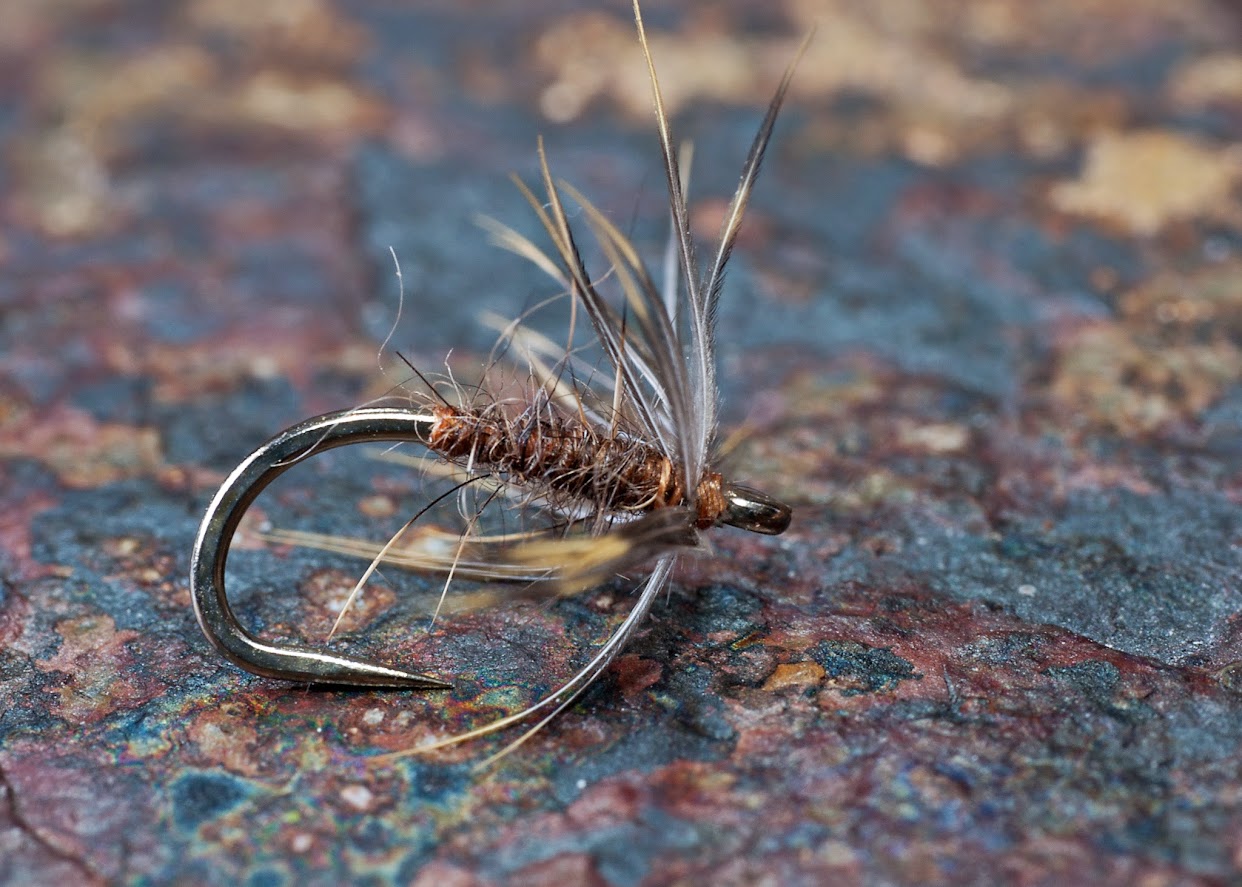 Spider Fishing  Fly Fishing Forum