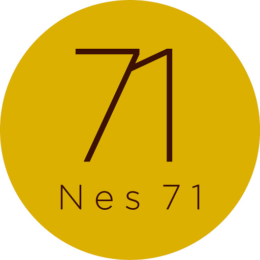 Nes71 logo