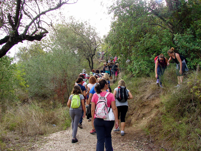 Senderismo - Xativa - Castillo - Solana