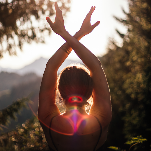 Virginie Reisenthel - Terre Adentro, Naturopathie, Yoga, Massages Annecy, Haute Savoie logo