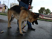 DSC01997.JPG